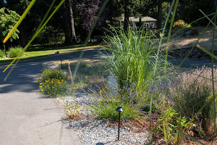 Low Voltage Outdoor Lighting